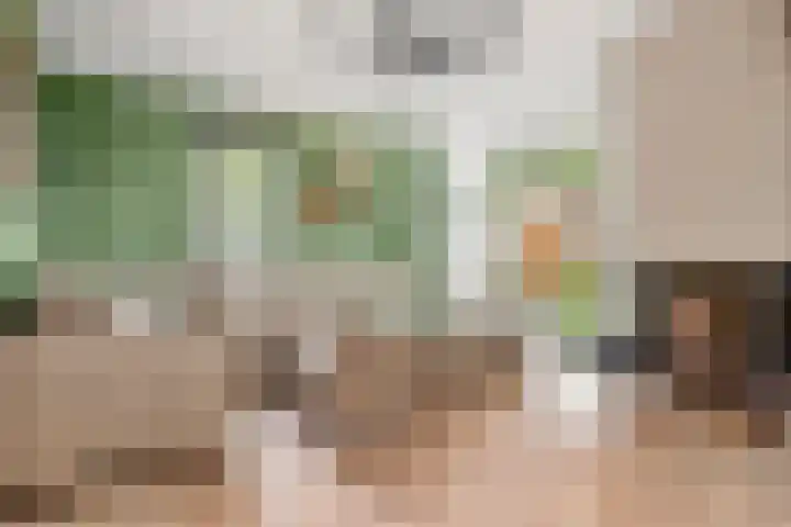 Robert Kochlaan 7 Bennekom thumbnail 21