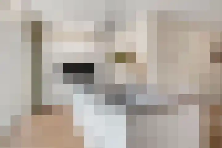 Robert Kochlaan 7 Bennekom thumbnail 29