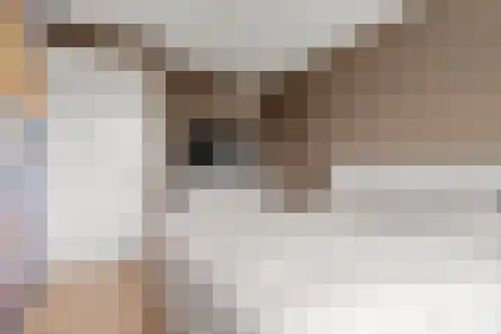 Robert Kochlaan 7 Bennekom thumbnail 40
