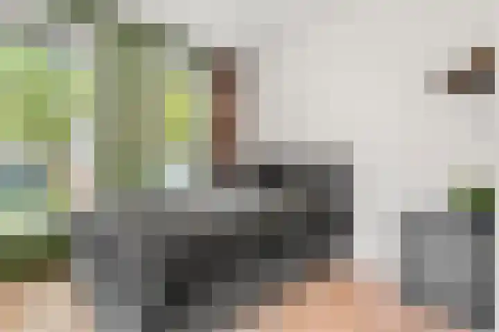 Robert Kochlaan 7 Bennekom thumbnail 43