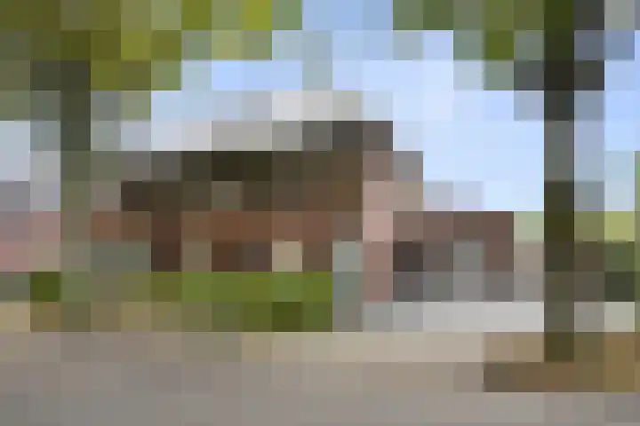 Robert Kochlaan 7 Bennekom thumbnail 8