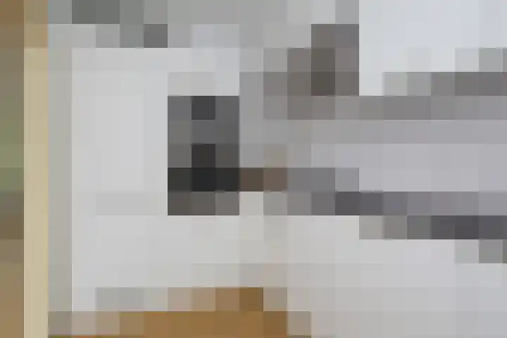 Robert Kochlaan 73 Haarlem thumbnail 24