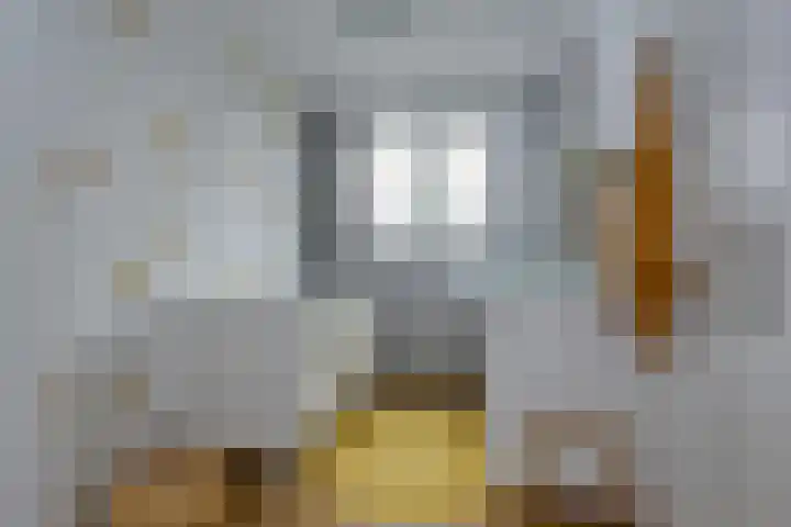 Robert Kochlaan 73 Haarlem thumbnail 34