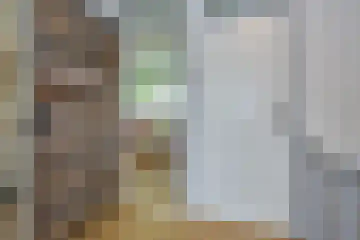 Robert Kochlaan 73 Haarlem thumbnail 37