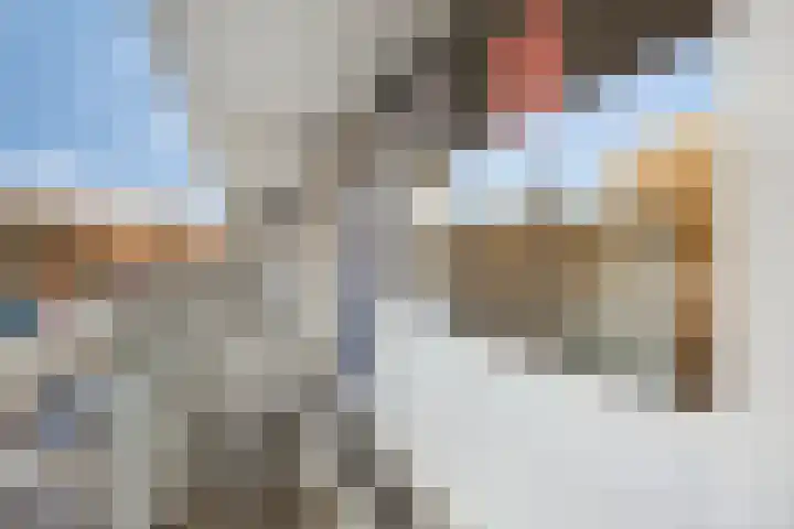 Robert Kochplaats 199 Rotterdam thumbnail 19