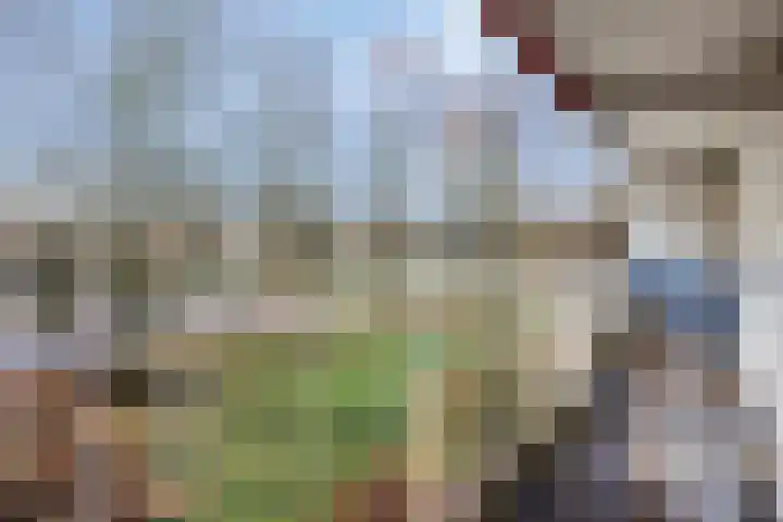 Robert Kochplaats 199 Rotterdam thumbnail 21
