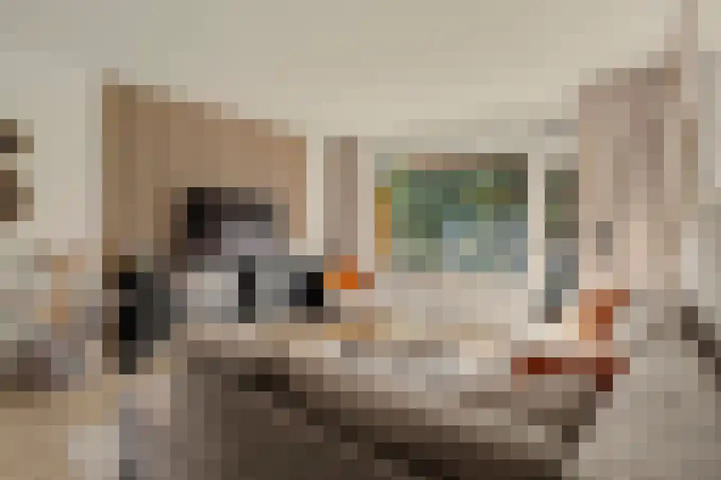 Robert Kochplaats 227 Rotterdam thumbnail 12