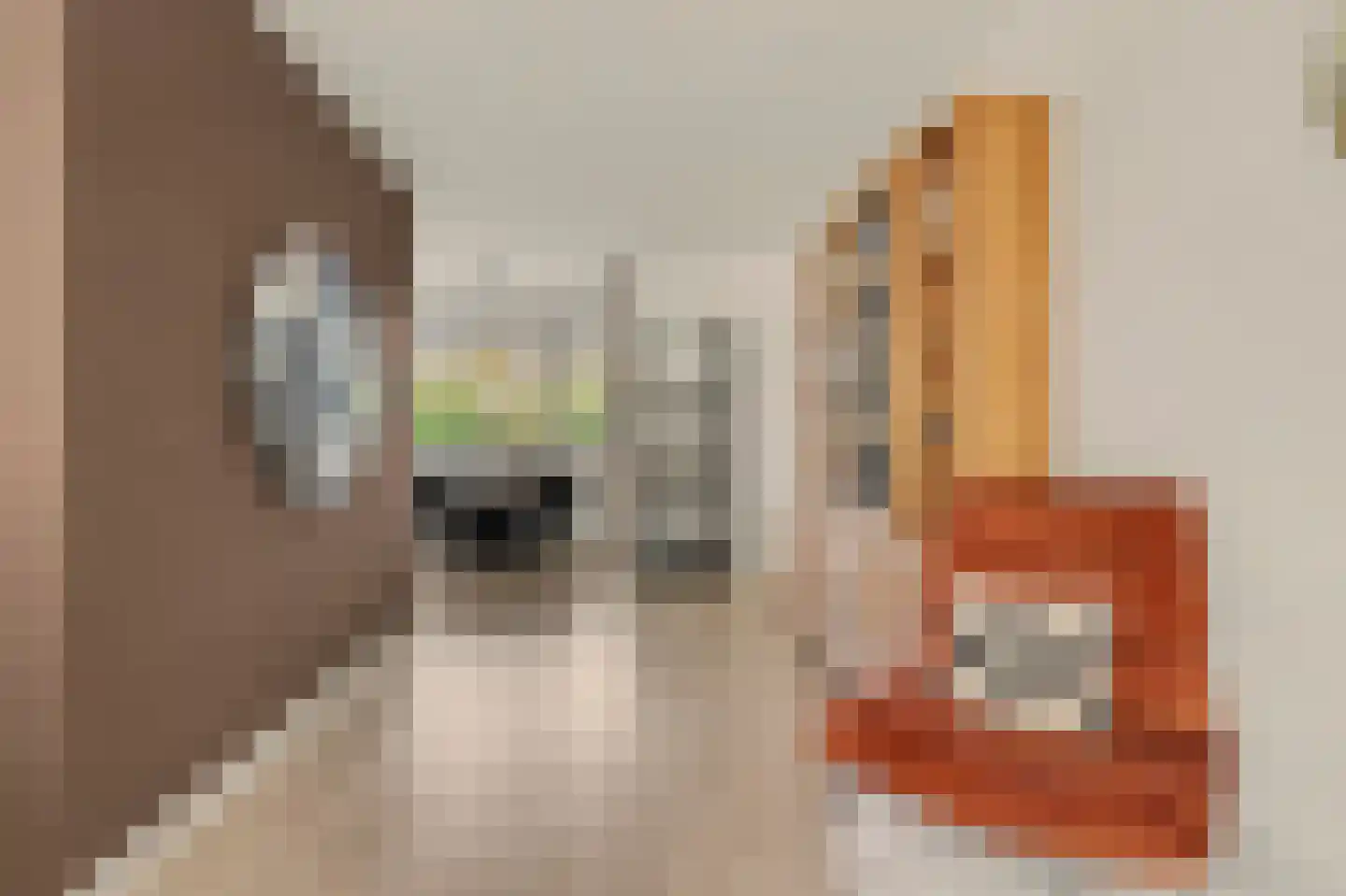 Robert Kochplaats 227 Rotterdam thumbnail 16