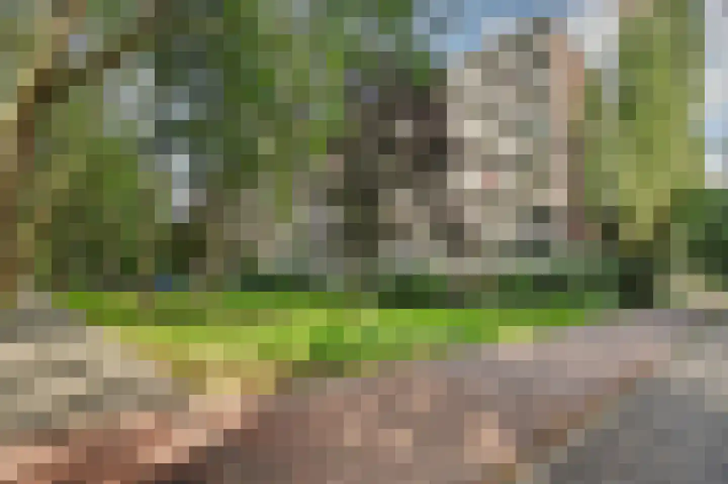 Robert Kochplaats 227 Rotterdam thumbnail 4