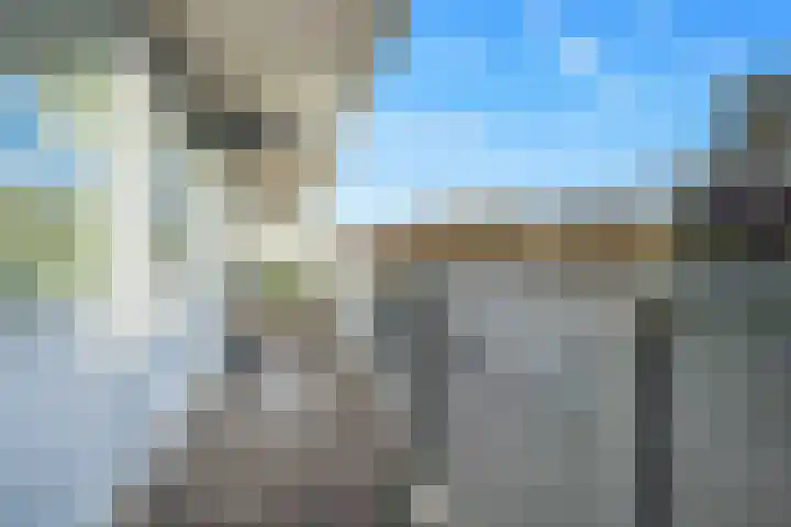 Robert Kochplaats 289 Rotterdam thumbnail 17