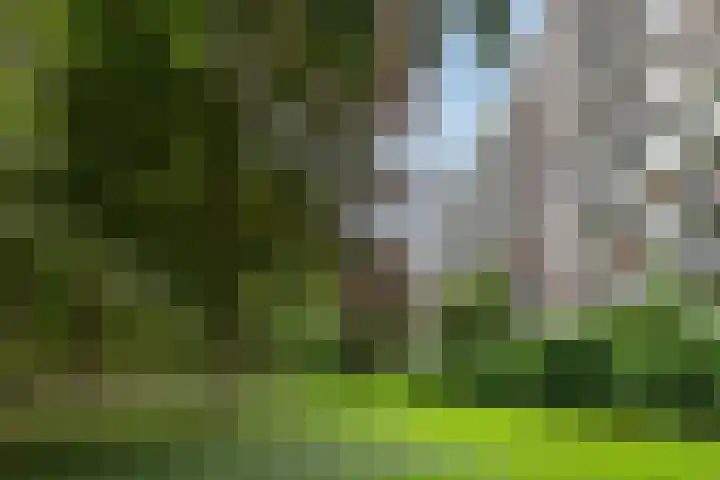 Robert Kochplaats 301 Rotterdam thumbnail 23