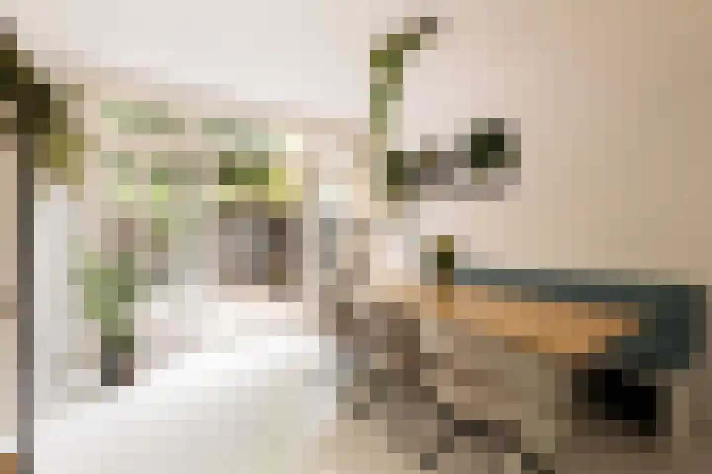 Robert Kochplantsoen 21 Amsterdam thumbnail 19