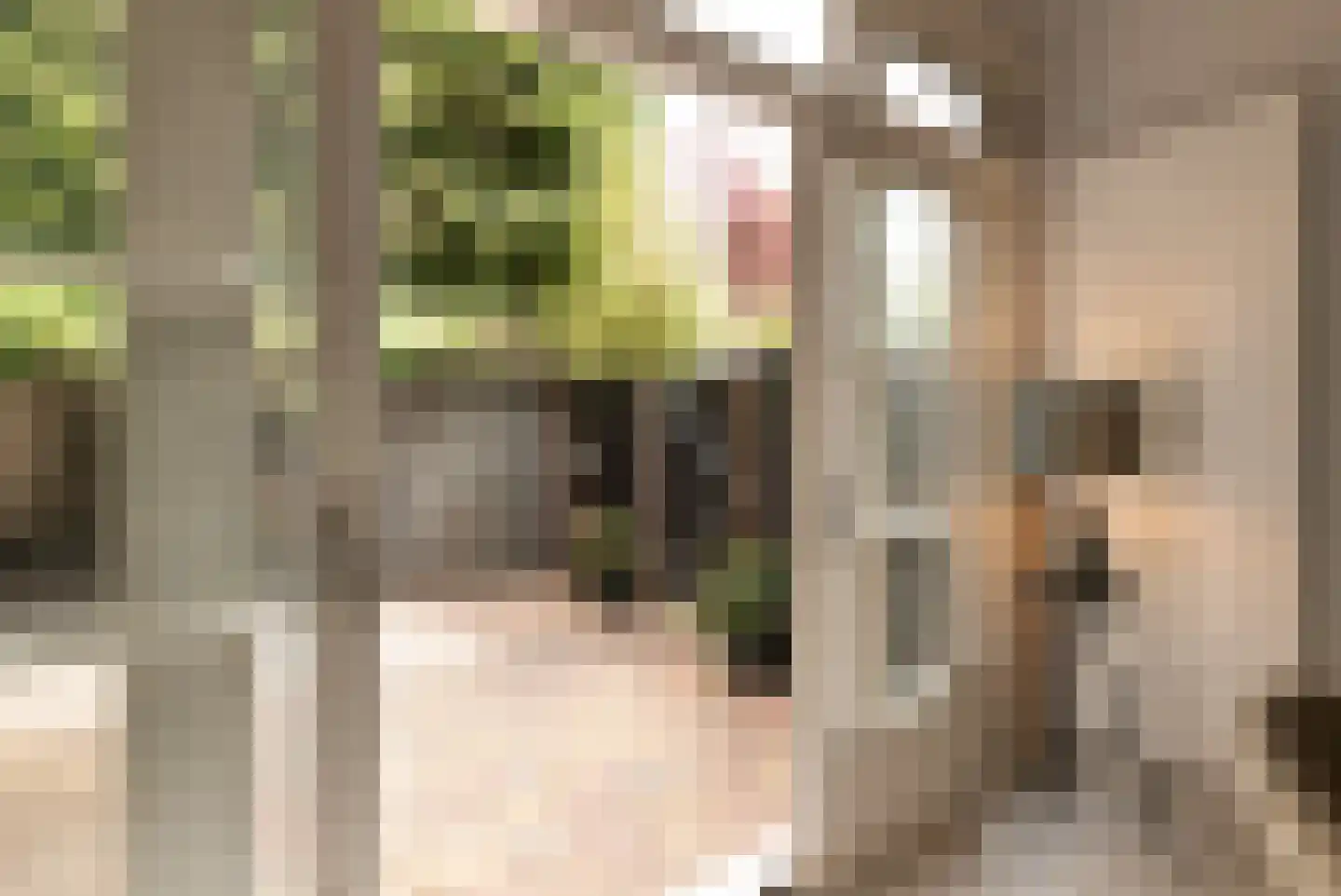 Robert Kochplantsoen 21 Amsterdam thumbnail 23
