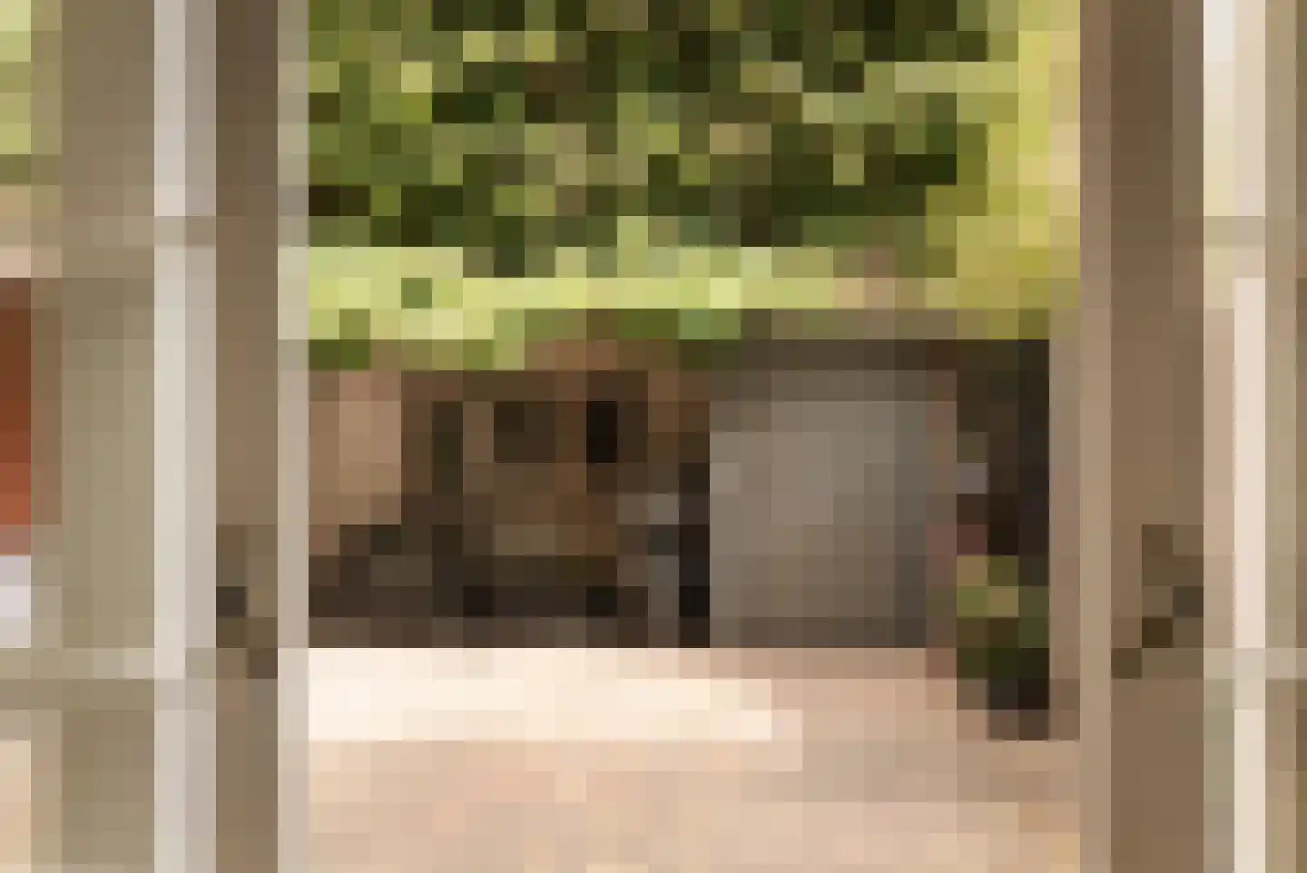 Robert Kochplantsoen 21 Amsterdam thumbnail 24