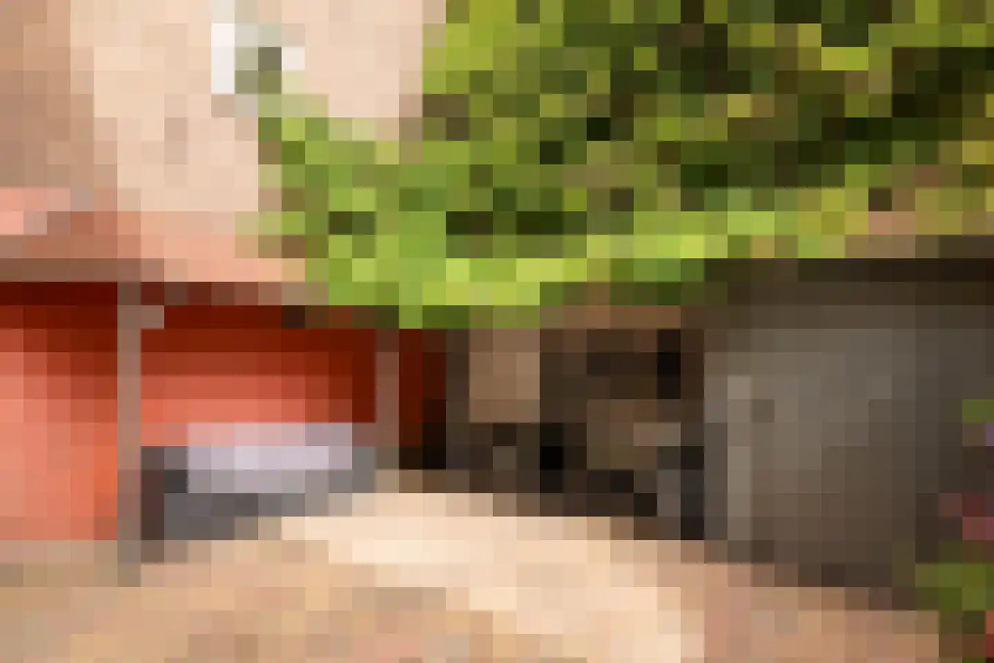 Robert Kochplantsoen 21 Amsterdam thumbnail 25