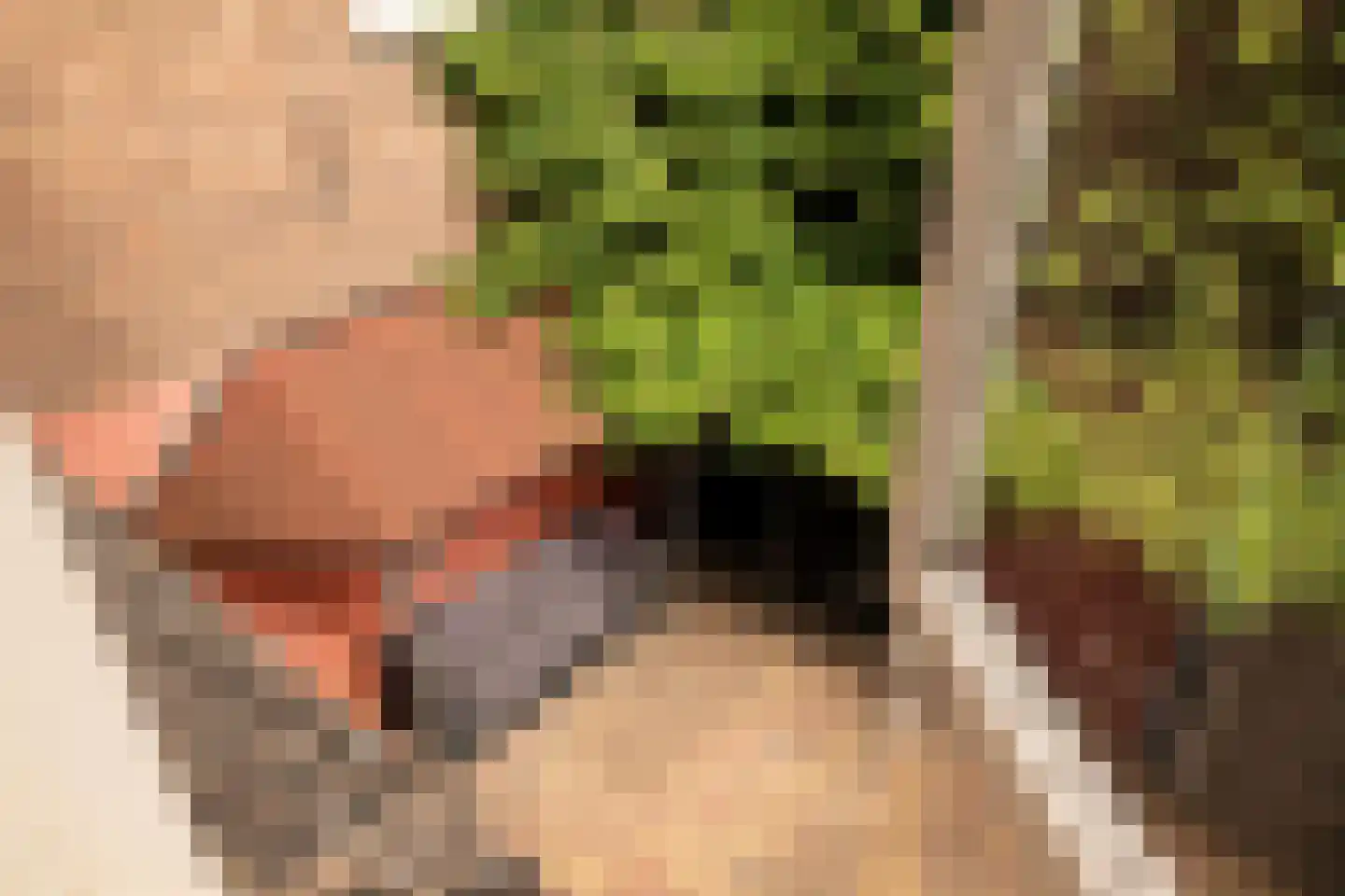Robert Kochplantsoen 21 Amsterdam thumbnail 34