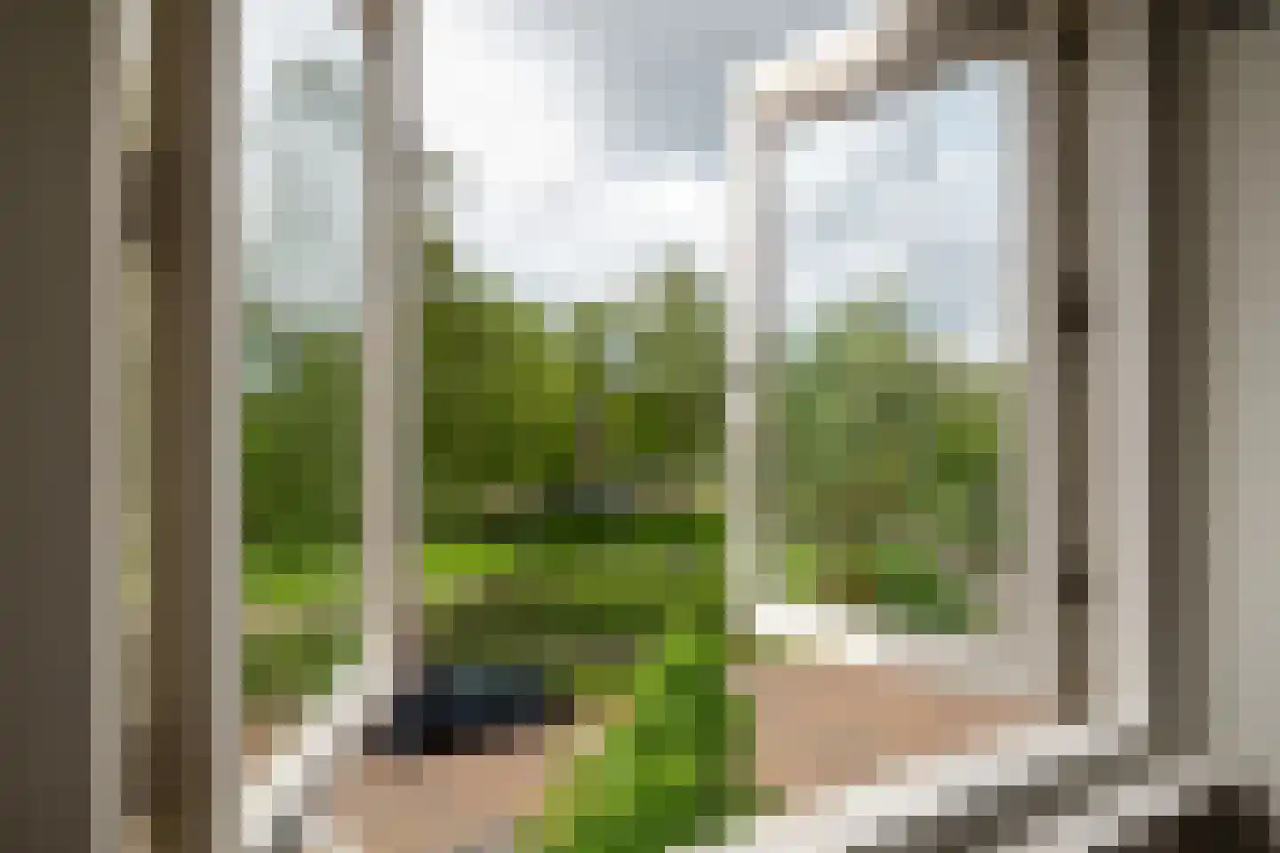 Robert Kochplantsoen 21 Amsterdam thumbnail 46