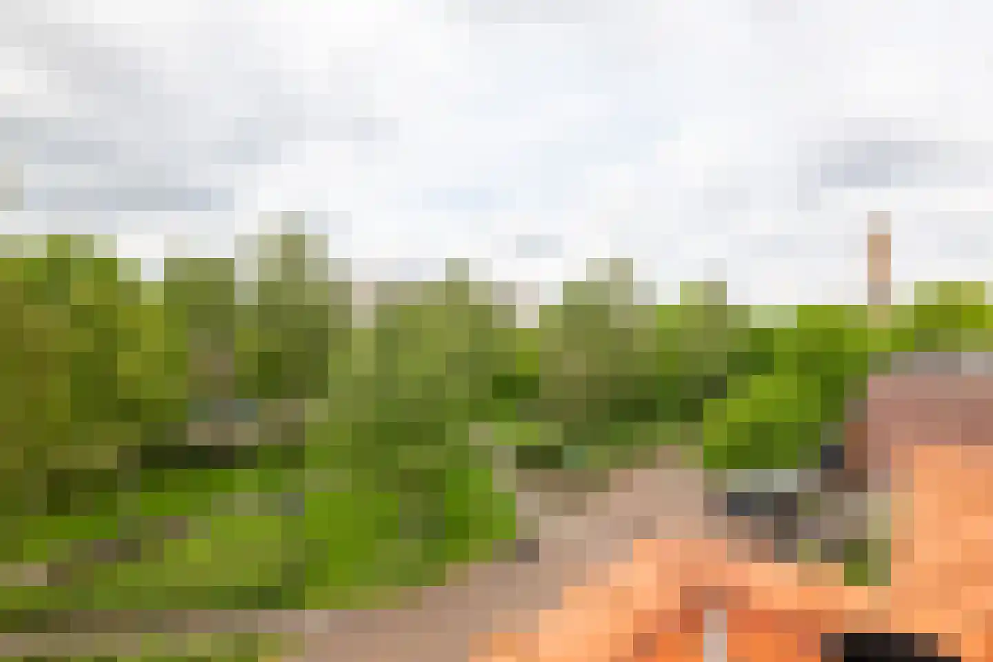 Robert Kochplantsoen 21 Amsterdam thumbnail 49