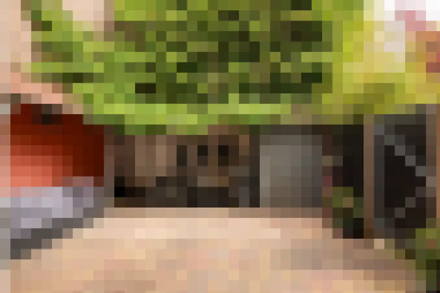 Robert Kochplantsoen 21 Amsterdam thumbnail 5