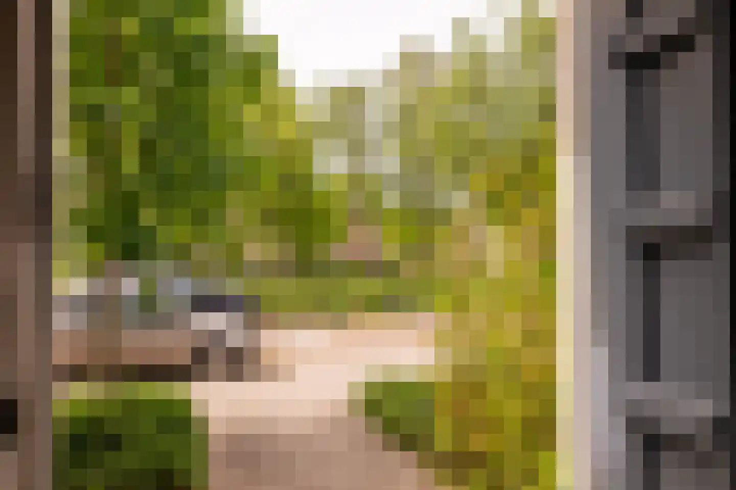 Robert Kochplantsoen 21 Amsterdam thumbnail 51