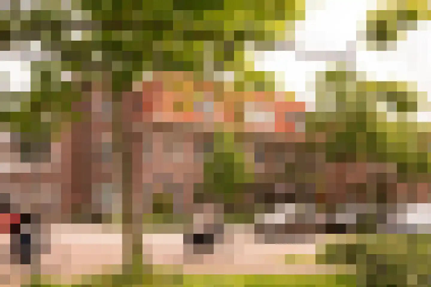 Robert Kochplantsoen 21 Amsterdam thumbnail 55