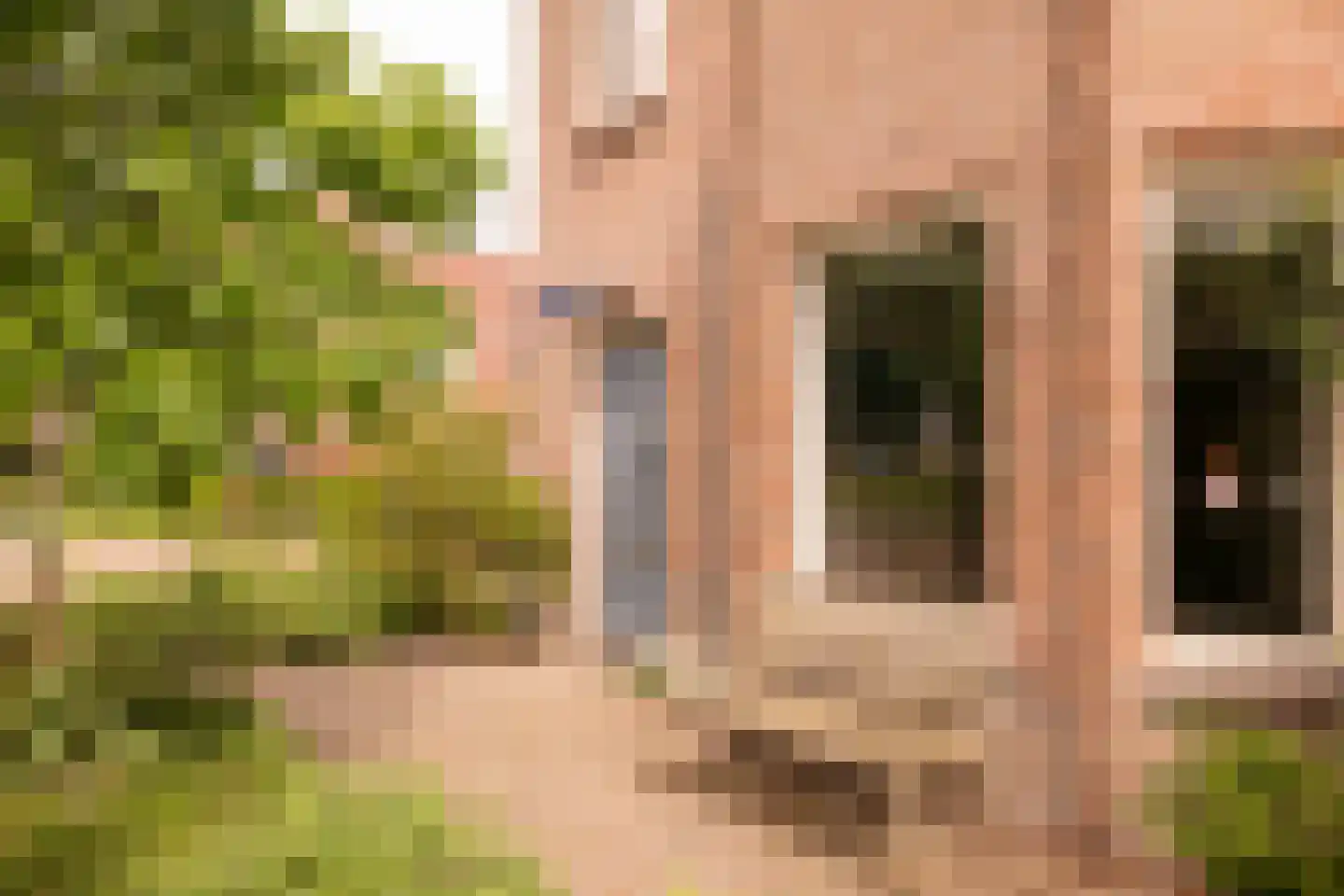 Robert Kochplantsoen 21 Amsterdam thumbnail 6