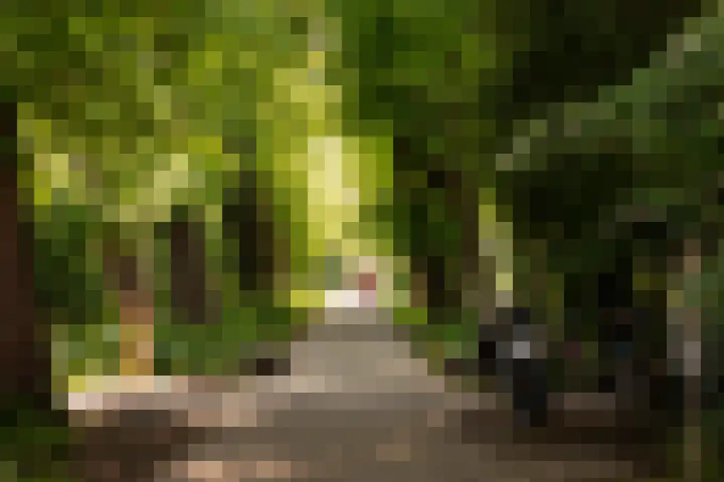 Robert Kochplantsoen 21 Amsterdam thumbnail 61