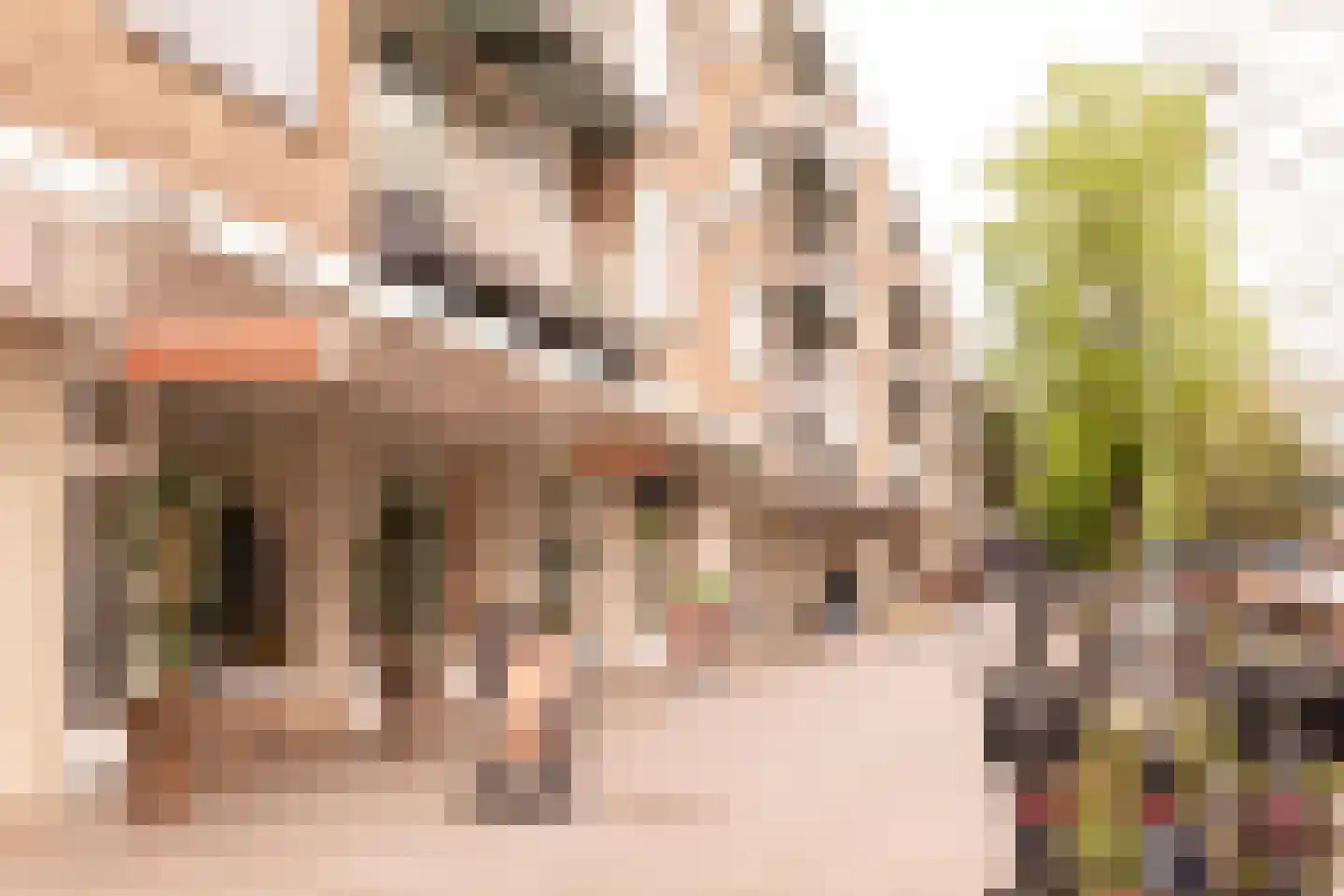Robert Kochplantsoen 21 Amsterdam thumbnail 62