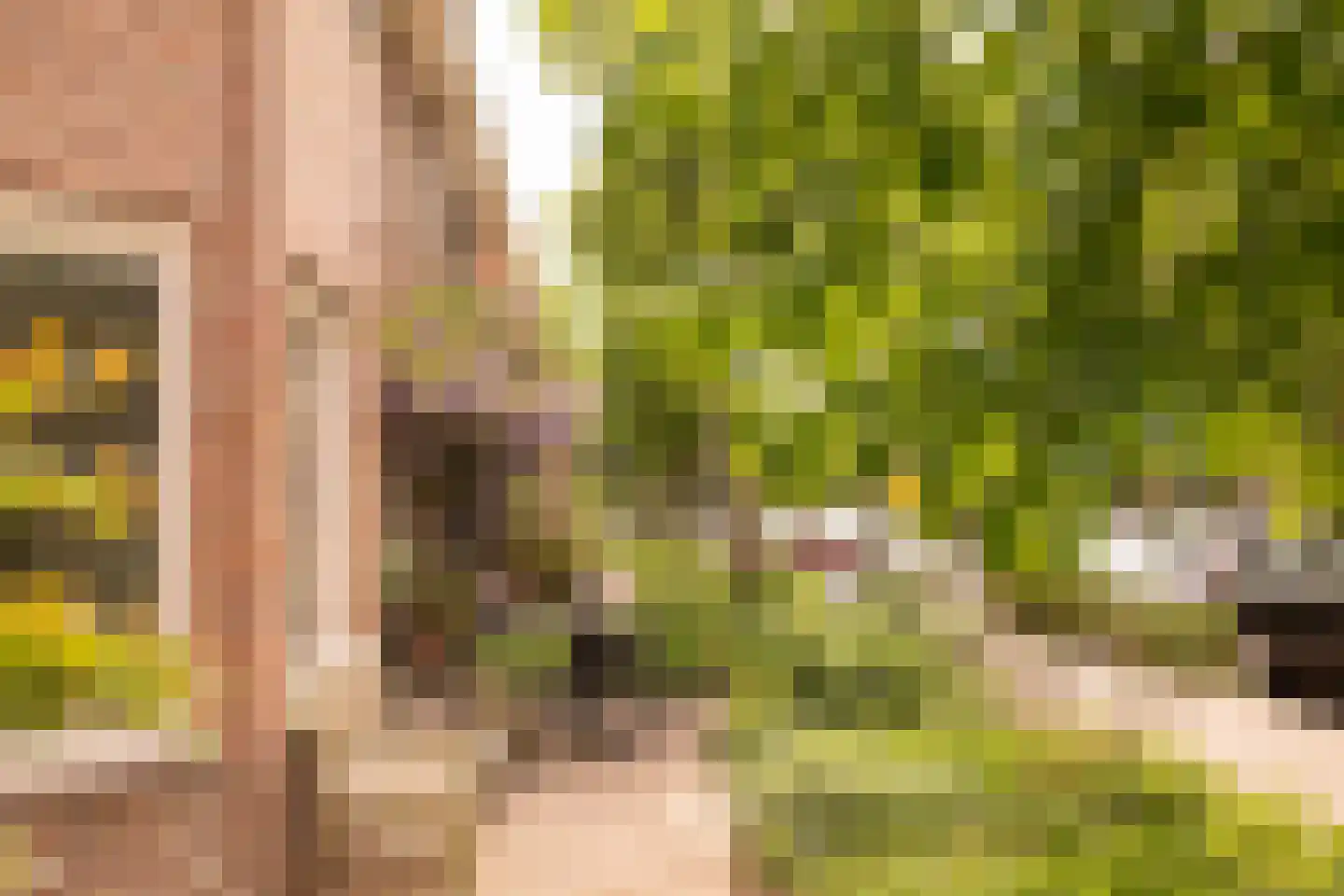 Robert Kochplantsoen 21 Amsterdam thumbnail 7