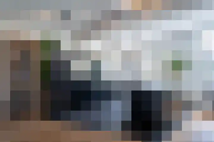 Robert Kochstraat 17 Hoogerheide thumbnail 8
