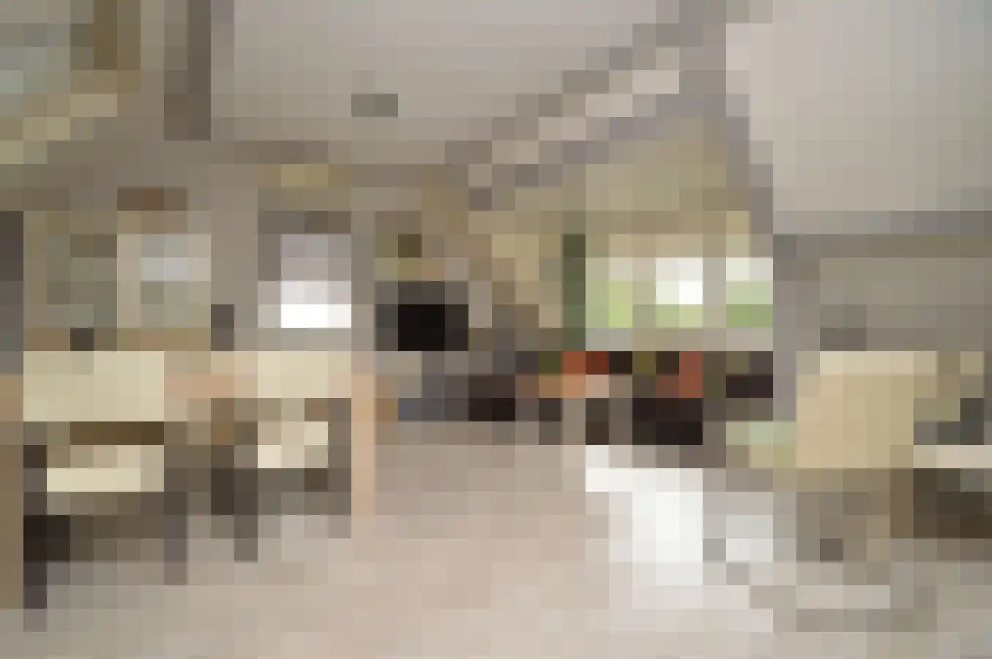 Robert Kochstraat 24 Deurne thumbnail 40
