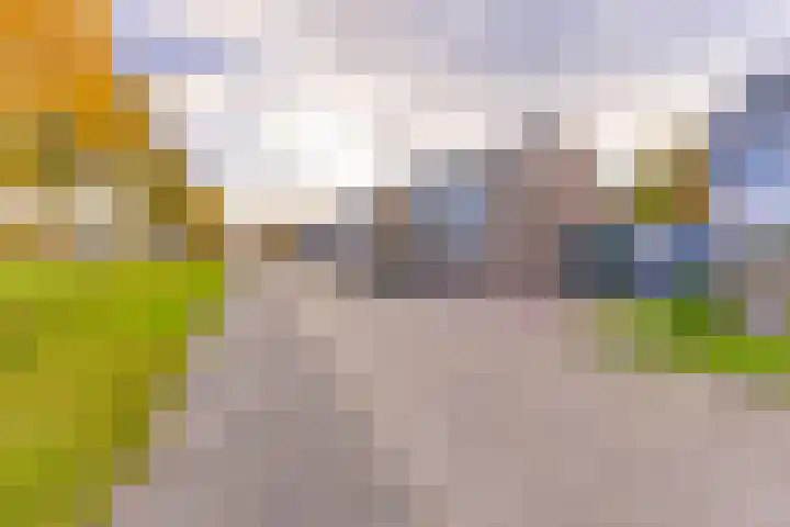 Robert Kochstraat 38 Ter Apel thumbnail 4