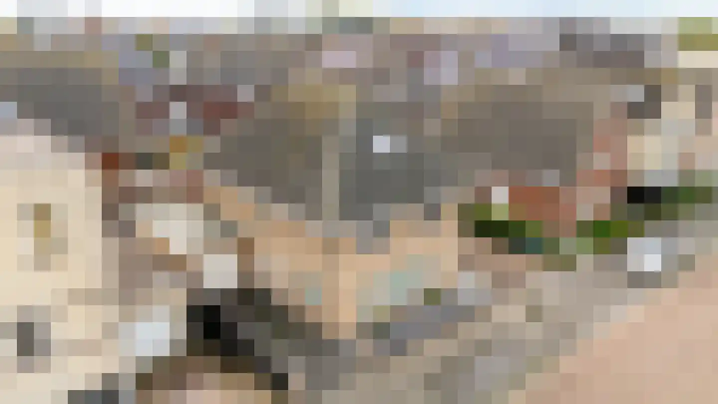 Robert Pearystraat 20 Almere thumbnail 47