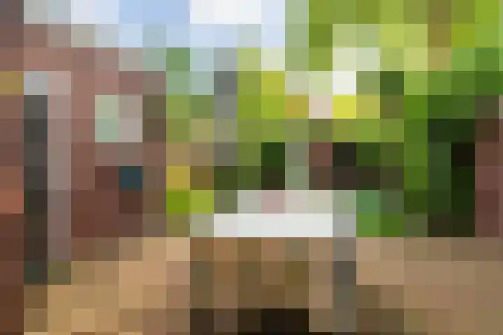 Robert Regoutstraat 4 Roermond thumbnail 33