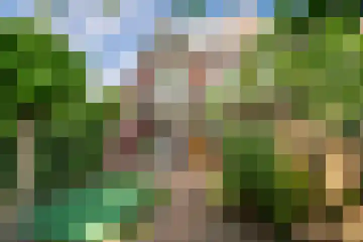 Robert Regoutstraat 4 Roermond thumbnail 36