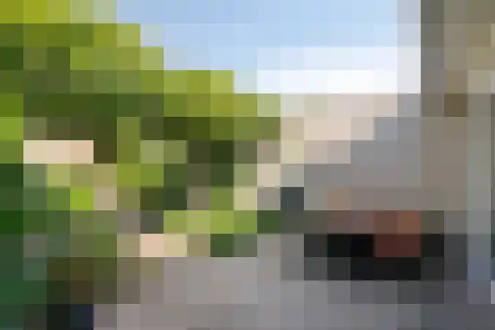 Robert Schumanlaan 10 Boxtel thumbnail 18