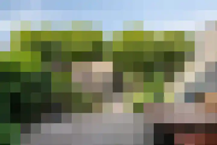 Robert Schumanlaan 10 Boxtel thumbnail 19