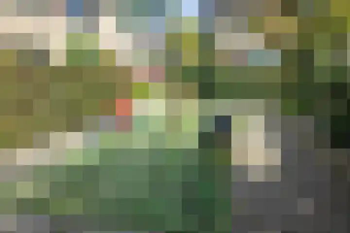 Robert Schumanlaan 10 Boxtel thumbnail 26