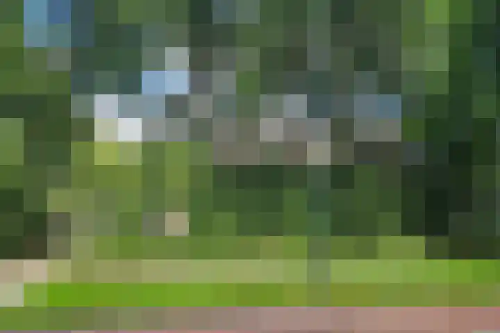 Robert Schumanlaan 10 Boxtel thumbnail 27