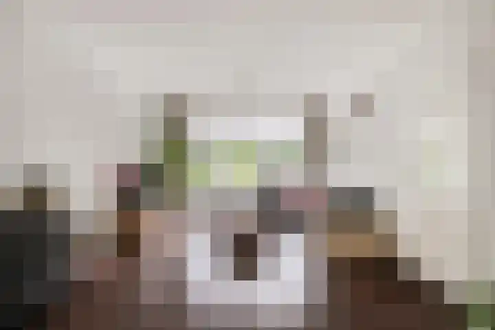 Robert Schumanlaan 10 Boxtel thumbnail 4