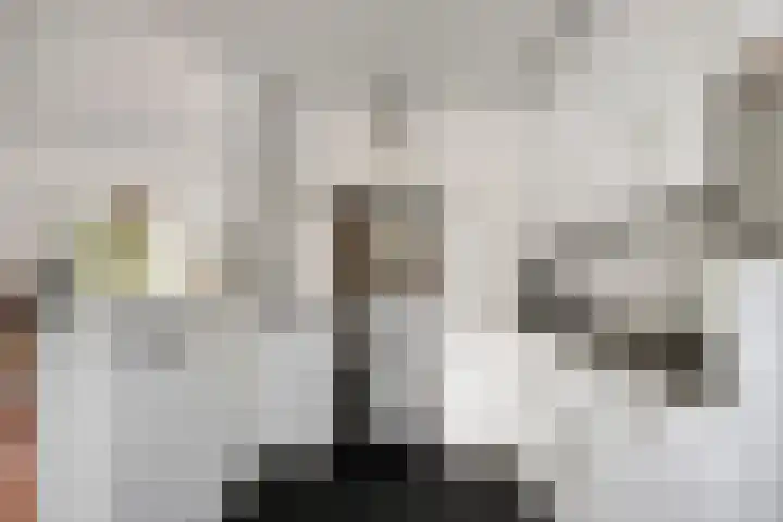 Robert Schumanlaan 10 Boxtel thumbnail 9