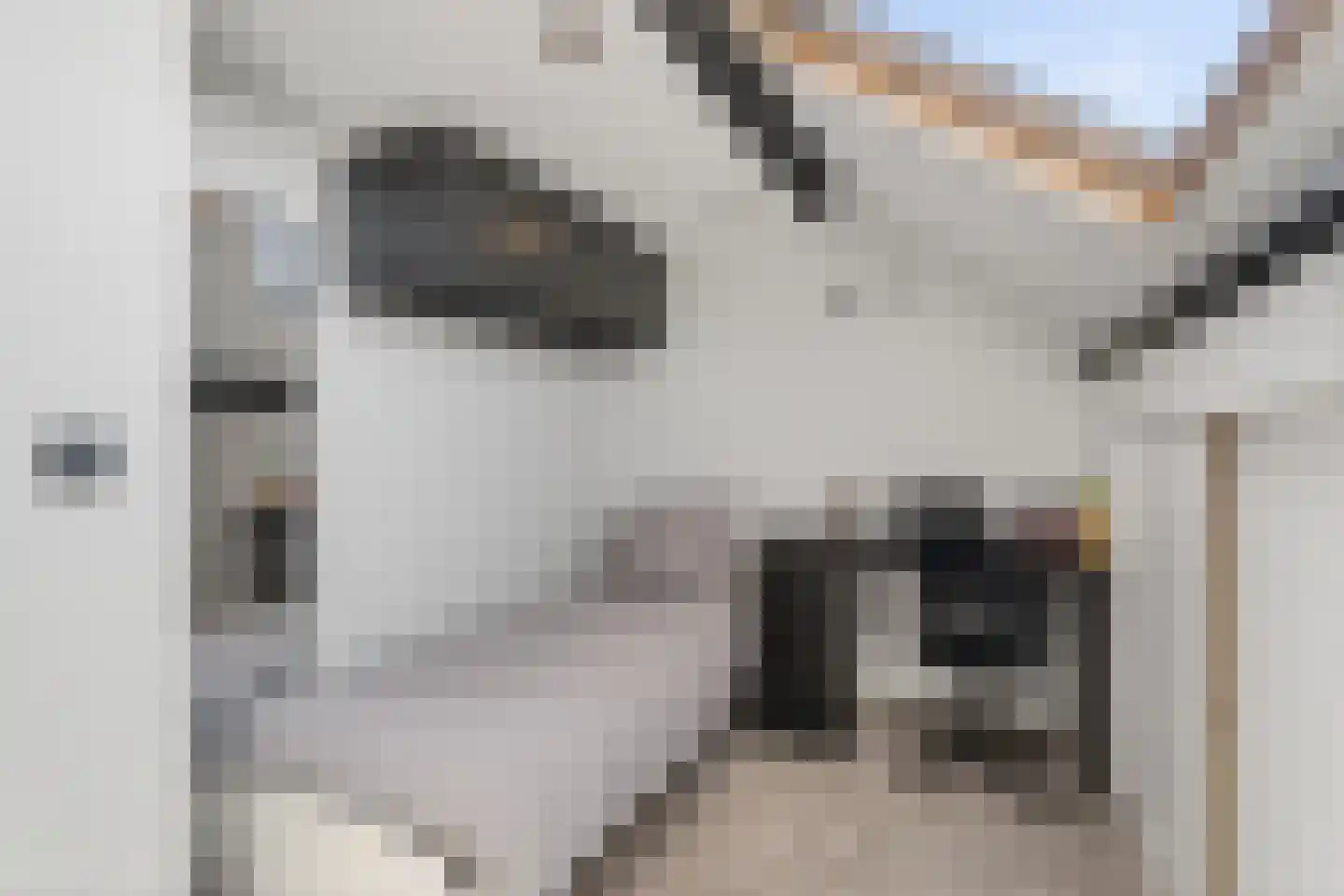 Robert Schumanlaan 12 Boxtel thumbnail 39