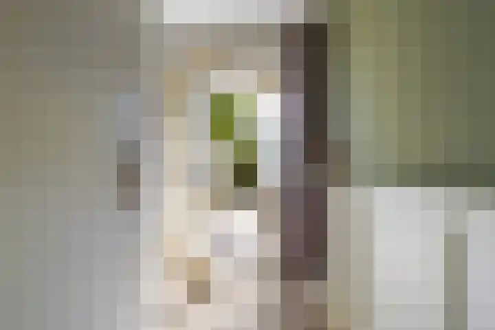 Robert Schumanlaan 17 Boxtel thumbnail 12