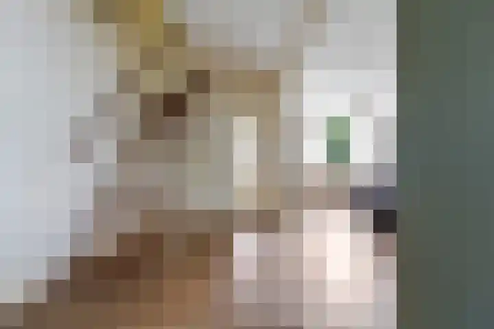 Robert Schumanlaan 17 Boxtel thumbnail 26