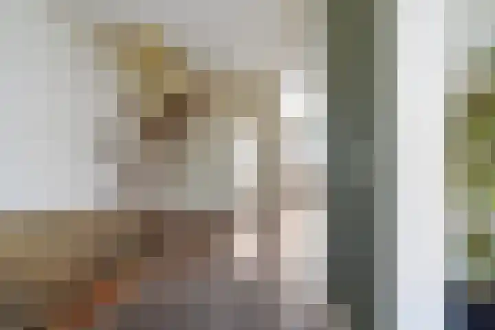 Robert Schumanlaan 17 Boxtel thumbnail 27
