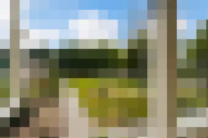 Robert Schumanlaan 17 Boxtel thumbnail 45