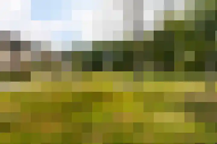 Robert Schumanlaan 17 Boxtel thumbnail 6