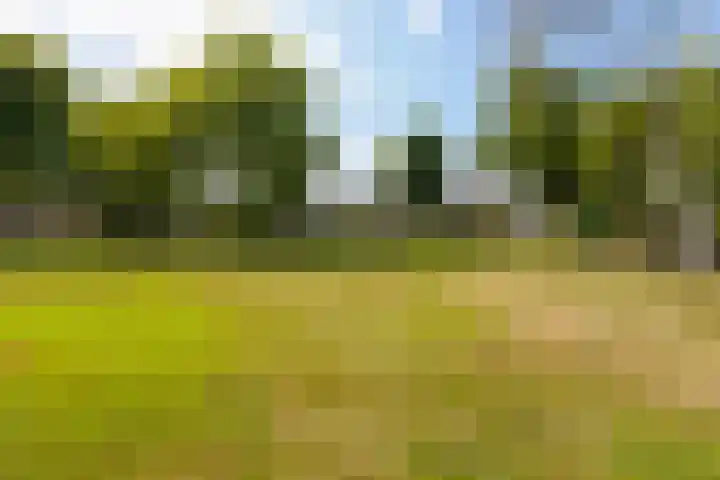 Robert Schumanlaan 17 Boxtel thumbnail 66