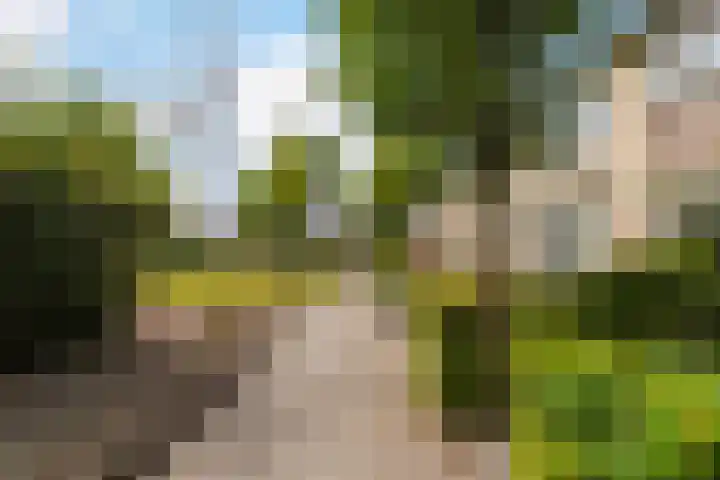 Robert Schumanlaan 17 Boxtel thumbnail 7
