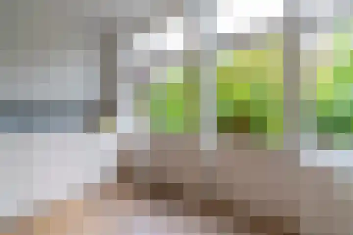 Robert Schumannstraat 15 Utrecht thumbnail 23